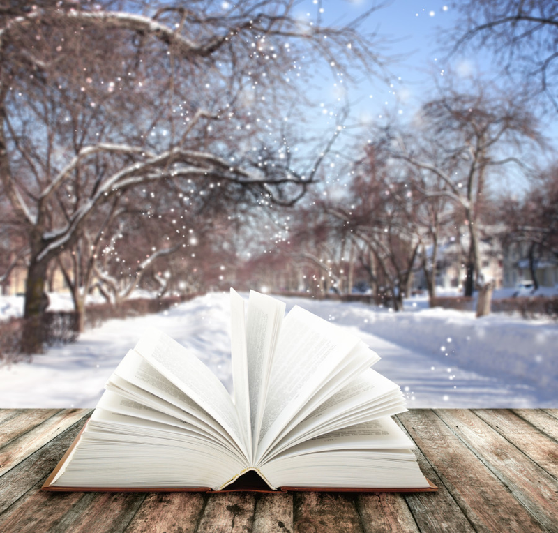 Illustration for article titled WednesdayBookClub: Snow Day!